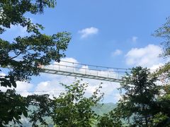 -藏龙百瀑风景区