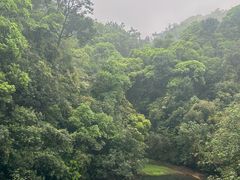 -鼎湖山风景区