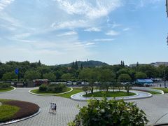 -青藤茶馆(凤起路店)