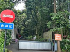 -午潮山国家森林公园