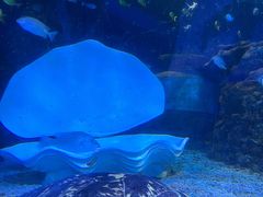 -太平洋海底世界