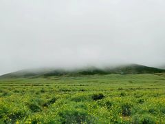 -扁都口生态休闲旅游区
