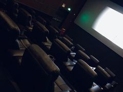 -万达影城(闵行颛桥万达广场杜比影院店)