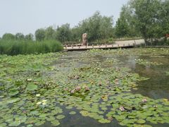 -绿堤公园