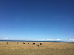 -青海湖国家重点风景名胜区