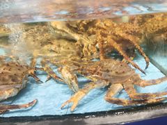 -食鼎记海鲜大排档(美食街店)