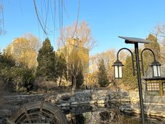 -三忘湖 SWANSEEN(柳荫公园店)