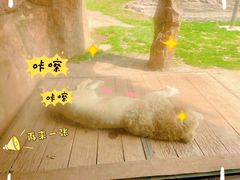 -杭州野生动物世界