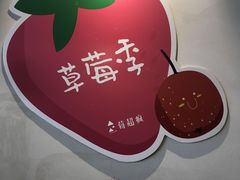 -莓超疯