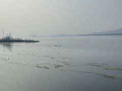 -微山湖红荷湿地景区