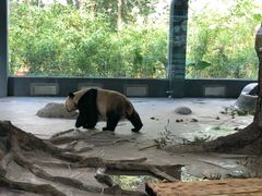 -火烈鸟餐厅