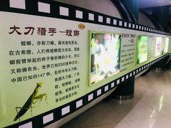 -上海昆虫博物馆