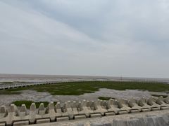-南汇嘴观海公园