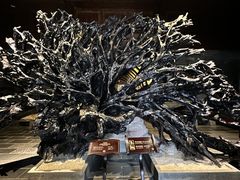 -乐山乌木文化博览苑