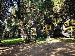 -黄帝陵