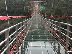 -九龙江国家森林公园