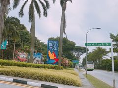 -新加坡飞禽公园