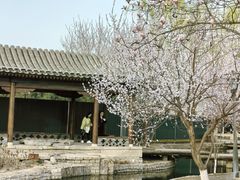 -春风习习