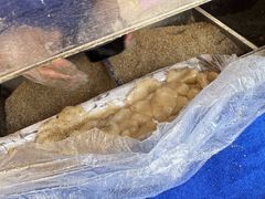 -叶氏麻糍(鼓浪屿店)