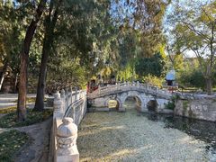 -莲池书院博物馆