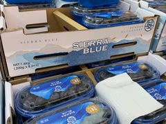 -新苗超市(科英布拉街店)