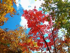 -丹东天桥沟景区