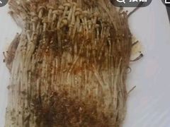 -羊巴道新疆菜·清真(上梅林店)
