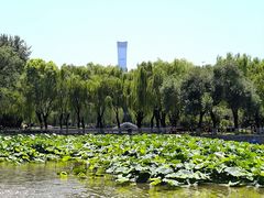 -中国农业博物馆