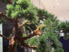 -绿茶餐厅(千岛湖银泰城店)