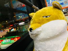 -LLJ夹机占(正佳广场店)