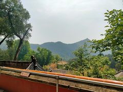 -潭柘寺景区