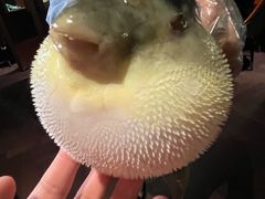 -肆月河豚·淮扬菜·湘菜(华天店)