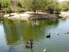 -长白岛森林公园