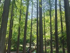 -采石矶景区