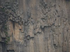 -黄椅山火山森林公园