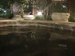 -中家鑫园温泉酒店鑫悦汤泉