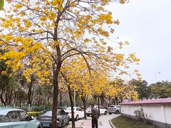 -荔湾区儿童公园