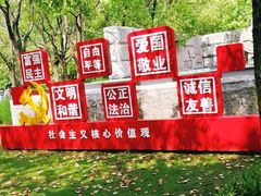 -吴淞炮台湾湿地森林公园烧烤区