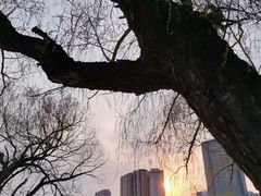 -青城公园