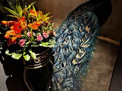 -弦月窗LUNETTE BY AMANDA(复兴路店)