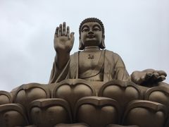 -龙口南山旅游景区