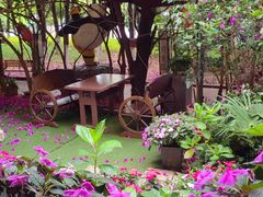 -月亮眼花园餐厅书吧酒吧