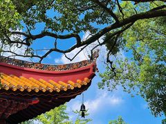 -宝通禅寺