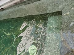 -碧水湾温泉