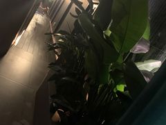 -涟LIAN·泰式按摩·MASSAGE·SPA(华强北店)