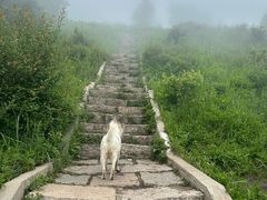 -灵山