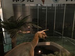 -烟台自然博物馆