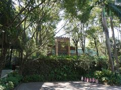 -iFIT真人CS彩弹野战基地