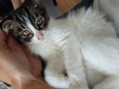 -平行世界·猫咖(首经贸店)