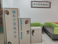 -北京观赏动物医院·24小时大型综合·猫专科·异宠专科